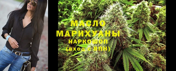 стаф Осинники