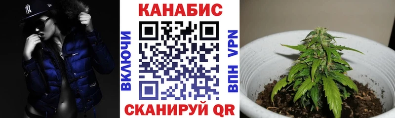 KRAKEN ССЫЛКА  хочу наркоту  Канск  Бошки Шишки гибрид 